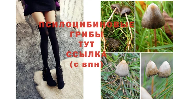 ГАЛЛЮЦИНОГЕННЫЕ ГРИБЫ Фурманов