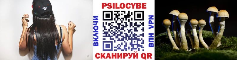 Галлюциногенные грибы Psilocybe  Буинск 