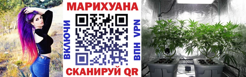 купить  цена  Буинск  Каннабис White Widow 